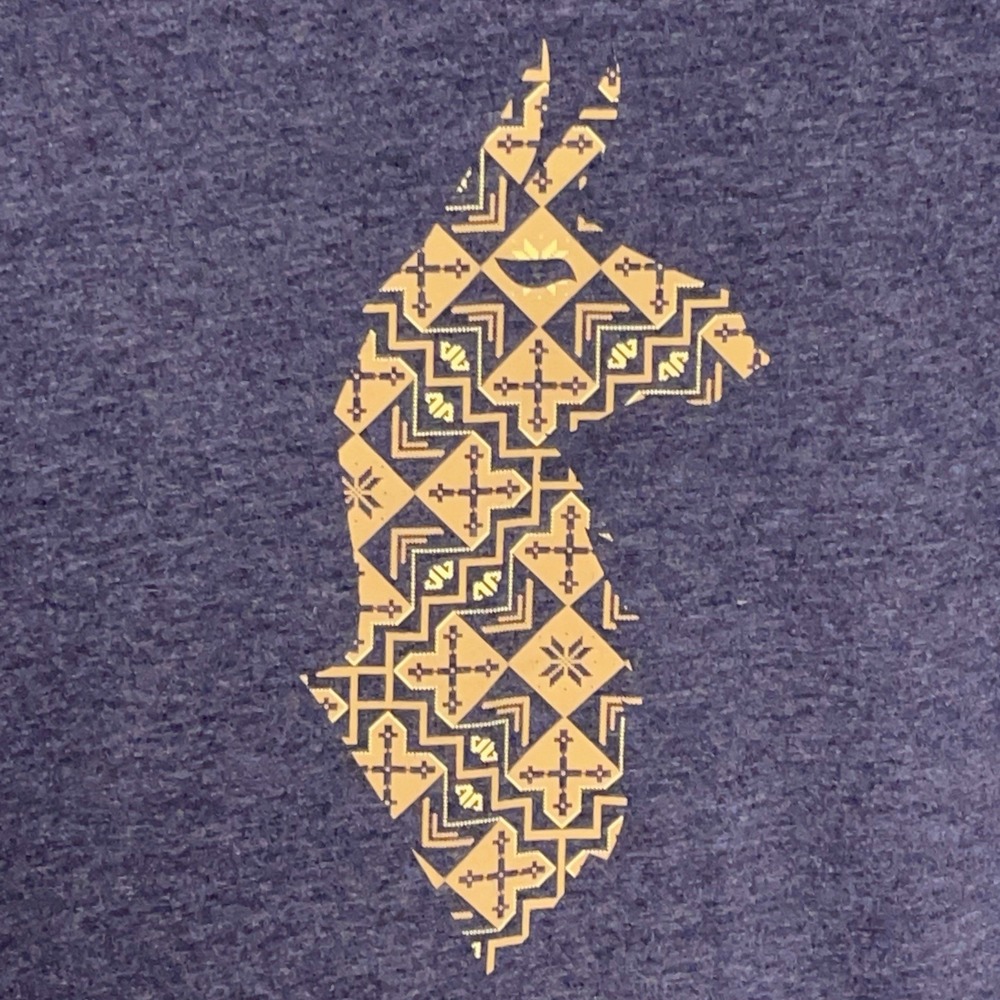 Cotopaxi Shirt Men XL Blu Graphic Llama Aztec Southwestern Tribal S/S Tee Casual